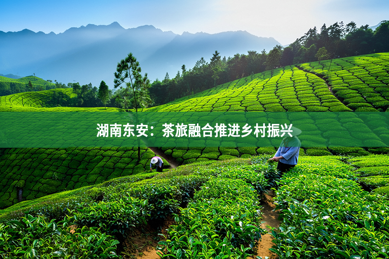 湖南東安：茶旅融合推進(jìn)鄉(xiāng)村振興