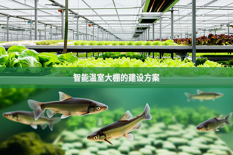 智能溫室大棚的建設方案