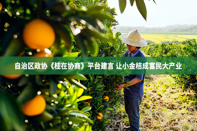 自治區政協《桂在協商》平臺建言 讓小金桔成富民大產業