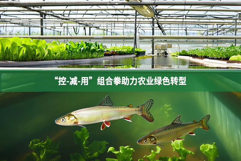 “控-減-用”組合拳助力農(nóng)業(yè)綠色轉(zhuǎn)型