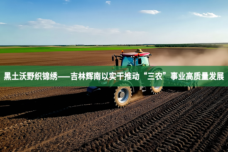 黑土沃野織錦繡——吉林輝南以實(shí)干推動(dòng)“三農(nóng)”事業(yè)高質(zhì)量發(fā)展