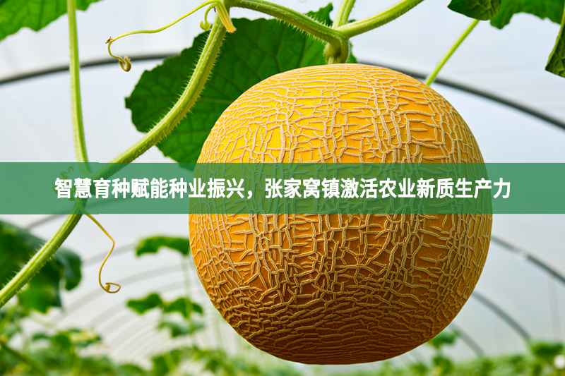 智慧育種賦能種業振興，張家窩鎮激活農業新質生產力