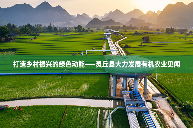 打造鄉村振興的綠色動能——靈丘縣大力發展有機農業見聞