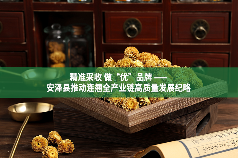 精準(zhǔn)采收 做“優(yōu)”品牌 ——安澤縣推動(dòng)連翹全產(chǎn)業(yè)鏈高質(zhì)量發(fā)展紀(jì)略