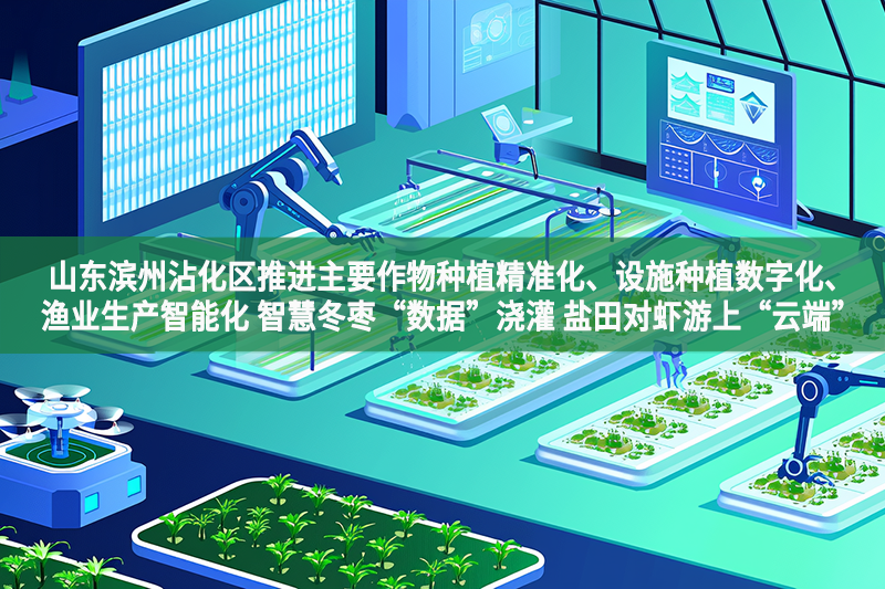 山東濱州沾化區推進主要作物種植精準化、設施種植數字化、漁業生產智能化 智慧冬棗“數據”澆灌 鹽田對蝦游上“云端”