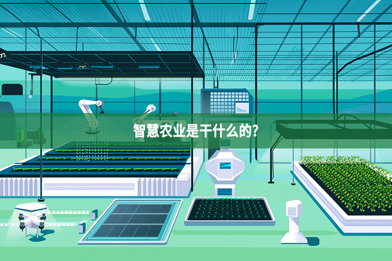 智慧農業是干什么的?