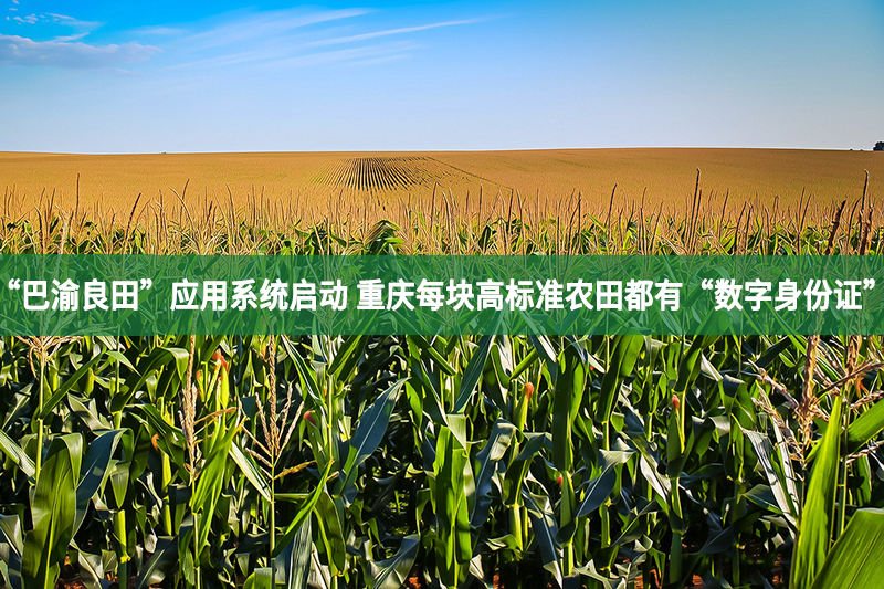 “巴渝良田”應(yīng)用系統(tǒng)啟動 重慶每塊高標(biāo)準(zhǔn)農(nóng)田都有“數(shù)字身份證”