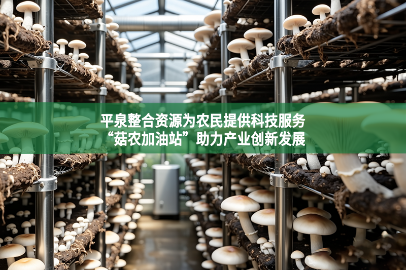 平泉整合資源為農民提供科技服務 “菇農加油站”助力產業創新發展