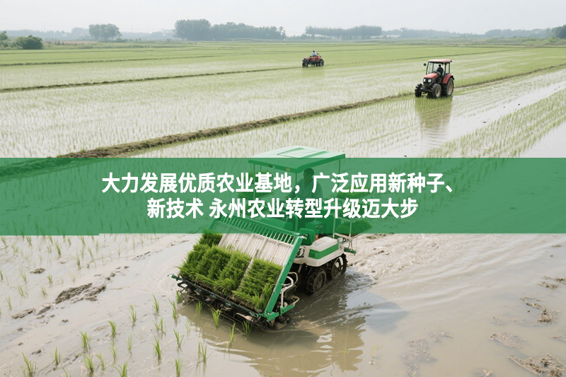 大力發展優質農業基地，廣泛應用新種子、新技術 永州農業轉型升級邁大步
