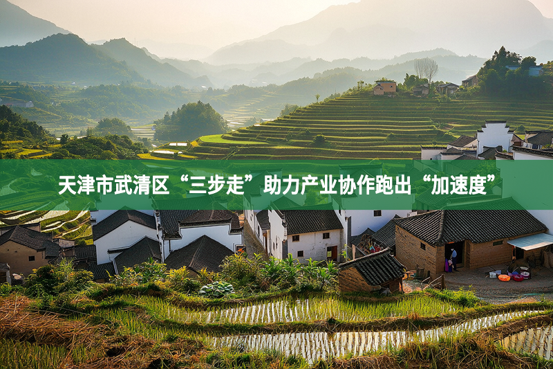 天津市武清區(qū)“三步走”助力產(chǎn)業(yè)協(xié)作跑出“加速度”