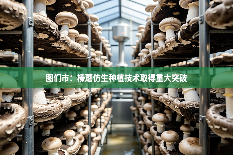 圖們市：榛蘑仿生種植技術(shù)取得重大突破