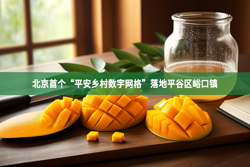 北京首個(gè)“平安鄉(xiāng)村數(shù)字網(wǎng)格”落地平谷區(qū)峪口鎮(zhèn)