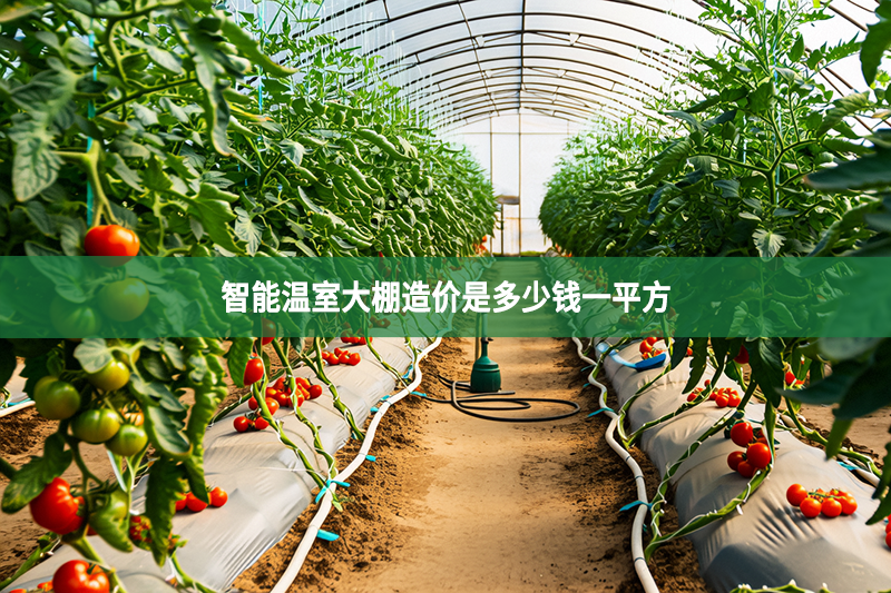 智能溫室大棚造價是多少錢一平方