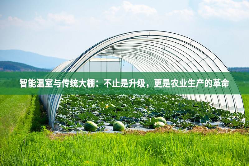 智能溫室與傳統大棚：不止是升級，更是農業生產的革命
