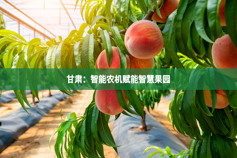 甘肅：智能農(nóng)機(jī)賦能智慧果園