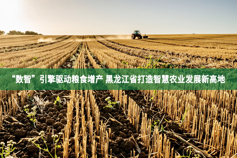“數智”引擎驅動糧食增產 黑龍江省打造智慧農業發展新高地