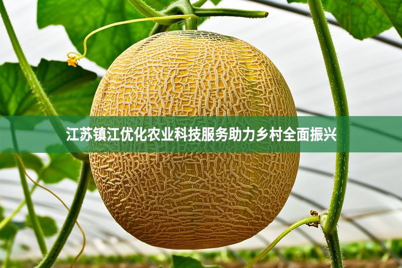 江蘇鎮江優化農業科技服務助力鄉村全面振興