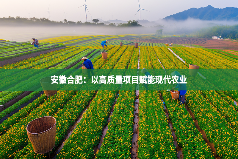 安徽合肥：以高質量項目賦能現代農業