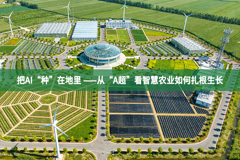 把AI“種”在地里 ——從“A超”看智慧農業如何扎根生長